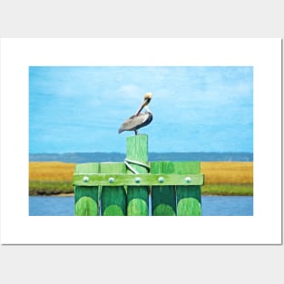 Brown Pelican Perched at St. Simons Island Posters and Art